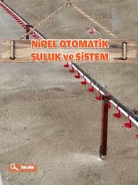 Nipel Otomatik Tavuk Sulugu Tavuk Tavuk Kumesleri Kumes