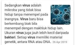 Apa Perbedaan Struktur Antara Bakteri Dan Virus Brainly Co Id