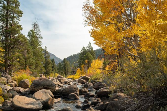 El Dorado County Road Trips: Leaf Peepers - Visit El Dorado