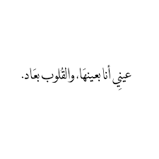 Pin By Seeix On شعر In 2020 Photo Quotes Calligraphy Quotes