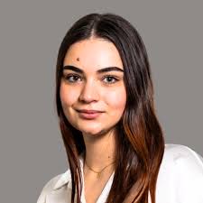 Immigration attorney experts