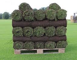Rollrasen Zum Perfekten Rasen In 5 Schritten Mit Obi Rasen Garten Ideen Gartengestaltung