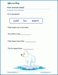 Feel free to add in the adaptation and have students identify the function only, or change up the animals! How Animals Adapt Worksheets K5 Learning