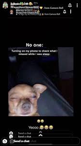 Pin By Victoria Nichols On Quotes Moods Really Funny Memes Funny Facts Funny Relatable Memes