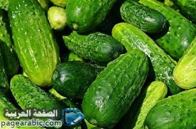 رؤية شجرة العنب في المنام. ØªÙØ³ÙŠØ± Ø±Ø¤ÙŠØ© Ø§Ù„Ø®ÙŠØ§Ø± ÙÙŠ Ø§Ù„Ù…Ù†Ø§Ù… Ø³ÙˆØ§Ø¡ ÙƒØ§Ù† Ø§ÙƒÙ„ Ø§Ùˆ ØªÙ†Ø¸ÙŠÙ Ø§Ùˆ ØªÙ‚Ø·ÙŠØ¹ Ø§Ù„ØµÙØ­Ø© Ø§Ù„Ø¹Ø±Ø¨ÙŠØ©