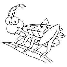 Top 17 Free Printable Bug Coloring Pages Online In 2021 Bug Coloring Pages Insect Coloring Pages Coloring Pages