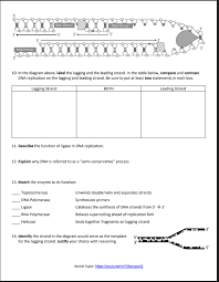 Replication Basics – Lablogatory
