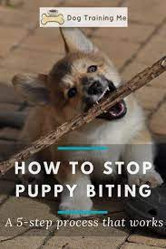 How To Stop Puppy Biting Aggressive Puppy Biting The 3 Best Ways To Teach Your Puppy To Stop Biti Puppy Biting Puppy Training Biting Stop Puppy From Biting