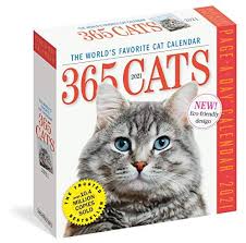 365 Cats Page A Day Calendar 2021 By Workman Calendars In 2020 Cat Calendar Cats Calendar