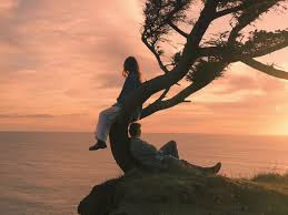 Exploring the PNW Coast: A Cinematic Sony Adventure