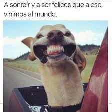 Risas Y Humor Colombiano Home Facebook Memes espanol graciosos memes malos memes para reir memes de risa humor gracioso chiste meme frases de colombianos memes. risas y humor colombiano home facebook