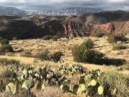 Arizona In A Nutshell Snow Capped Mountains In The Background Desert Cacti In The Foreground At My Dream Campsite March 3rd Arizona