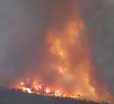 Latest updates on san francisco bay area fires and wildfires burning across northern california and southern california. M9cbg4ihjqmnrm