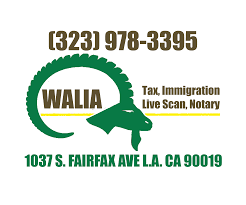 Looka's online logo maker delivers the goods, including vector logo files and color variations. Home Yonnatan Kebede