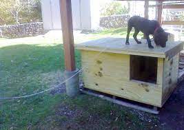 See more ideas about pitbull dog, pitbull training, american pitbull. Build A Better Dog House Go Pitbull Forums