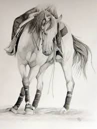 I Can T Draw People So This Would Be A Great Way To Hide Them Reining Horses Horses Horse Art