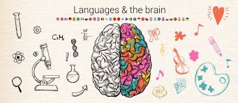 Bugün yeni bir dili öğrenme şeklimiz olmak zorunda değildir. Beynimiz Yeni Bir Dili Hizli Nasil Ogrenir Kendini Gelistirme Vakti