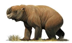 Drying Out Of Vast Inland Lakes May Have Caused Australia S Megafauna Extinction Extinct Animals Animals Prehistoric Animals