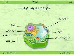 الخلية النباتية student map map screenshot