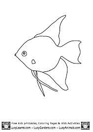 They are referred to by many names throughout the first years of their survival. Angel Fish Coloring Pages Printable Coloring And Malvorlagan