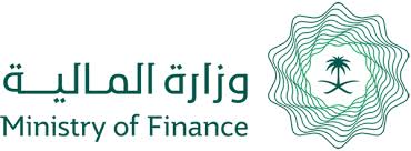 السداد الحكومي الإلكتروني