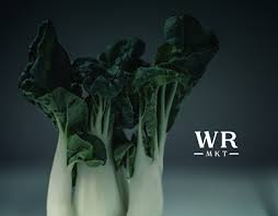 Find jobs, garage sales, boats, cars and real estate in orlando. Craigslist Orlando On Behance