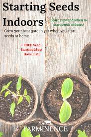 Pin On Gardening