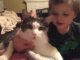 Fundraiser by Vanessa Roll : Save George Micheal