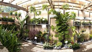 Liven up any birthday party. Gerlach S Garden And Floral Home Facebook