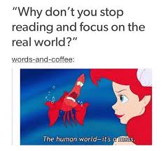 Why Don T You Stop Reading And Focus On The Real World Book Nerd Book Fandoms My Books