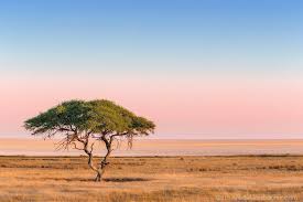 From libya to south africa. African Landscape Pictures Taken Early Morning Landschaftsbilder Landschaftsbau Wusten Fotografie