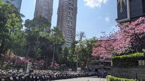 Xinyi district or sinyi district is the seat of the taipei city government and taipei city council. å°åŒ— çŽ© è³žæ«»ä½•è™•åŽ» é€£ä¿¡ç¾©å€ç¤¾å€éƒ½æ«»èŠ±æ»¿é–‹è¡Œéå¤©ä¸‹æ—…éŠç¶²