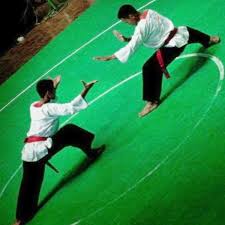 Perkembangan silat malaysia meliputi latihan fisik dan gerakan silat malaysia banyak mengadaptasi gerak tumbuhan dan hewan yang diketahui ada lebih dari 100 gerakan yang dimiliki oleh silat malaysia. Pencak Silat Warisan Mataram Menembus Zaman Historia