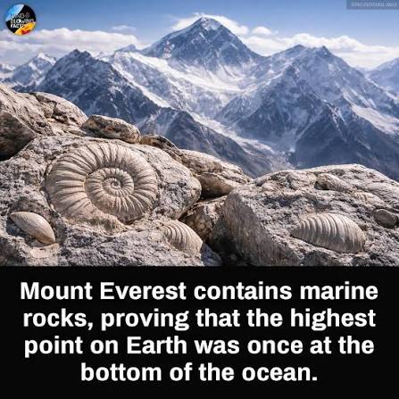 Mount Everest, the highest mountain on Earth at roughly 8,849 meters above  sea level, contains layers of marine limestone and fossilized sea life near its  summit. These rocks were formed hundreds of