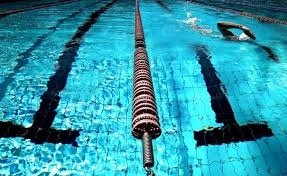 Photos of the team canada collection are available for editorial use. Tunisia Olympic Games Tokyo 2020 Swimming Gold Medal For Ayoub Hafnaoui 400 M Freestyle Allafrica Com