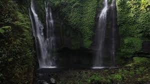He is focusing on landscape photography. 30 000 Best Nature Videos 100 Free Download Pexels Stock Videos