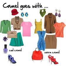 Camel (#cc9966) gsearch on google. Co Ordinating Camel