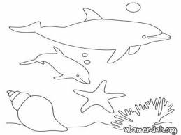 Pada kesempatan kali ini kita akan. Mewarnai Gambar Ikan Lumba Lumba Dolphin Alamendah S Blog Laman 3