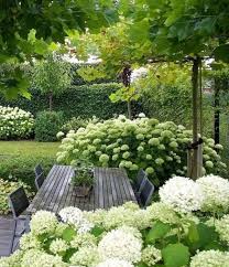 Affordable lodge in bangkok lodge in bangkok budget hotel in bangkok budget hotel in sukhumvit budget lodge in sukhumvit lodge in sukhumvit Pin Von Maison Egn Auf ì•„ë¦„ë‹¤ìš´ ì •ì› Garten Garten Landschaftsbau Garten Bepflanzen