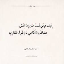 شعر المتنبي إليك فإني لست ممن إذا اتقى عالم الأدب Words Quotes Quran Quotes Love Quran Quotes