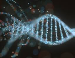 Blood cancer types include leukemia, lymphoma and myeloma, that directly attack blood system. Scientists Report New Insights Into The Development Of Blood Cancers