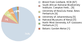 Image result for Berkheya zeyheri
