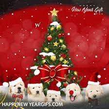 We did not find results for: Merry Christmas Puppies Gif 22 Happy New Year Gifs For Download