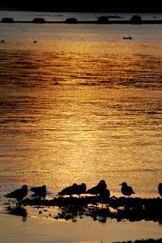 Ceann loch chille chiarain or ceann locha) is a town and former royal burgh in argyll and bute, scotland.it lies by campbeltown loch on the kintyre peninsula. Elevation Of Crosshill Farm Tomaig Tomaig Rd Campbeltown Pa28 6pe Uk Topographic Map Altitude Map