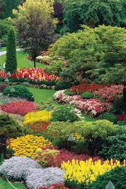 Butchart Gardens Butchart Gardens Beautiful Gardens Buchart Gardens
