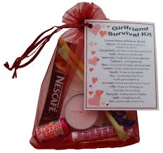 Birthday Present Ideas For Girlfriend Uk Girlfriend Survival Kit Gift Great Novelty Present For Valentines Birthday Christmas A Survival Kit Gifts Boyfriend Survival Kit Girlfriend Gifts
