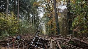 Jun 22, 2021 · jun 22, 2021, 10:22am edt updated: Is Germany S Hambach Forest Doomed By Coal