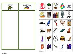 Living And Nonliving Art Living And Nonliving Preschool Science Kindergarten Science