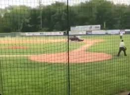 Joe esposito's hit song you're the best around plays over a long montage of south park's little league team unintentionally beating all their opponents. Espn E 60 Examines Connects Dots In 2018 Tragedy At Maine Youth Baseball Field Espn Press Room U S