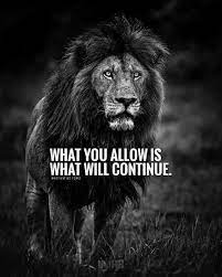 Ebt payments can be made online at most locations in the states approved for the snap online. Remember That Inspirational Quotes Motivation Lion Quotes Life Quotes